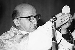 VescovoPasini