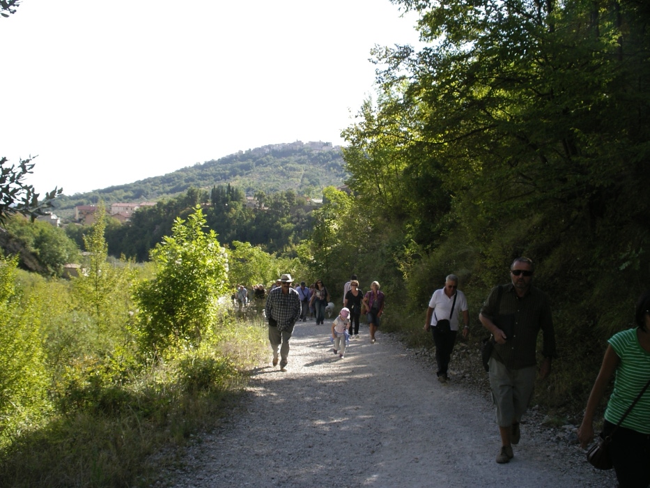 imgp9361