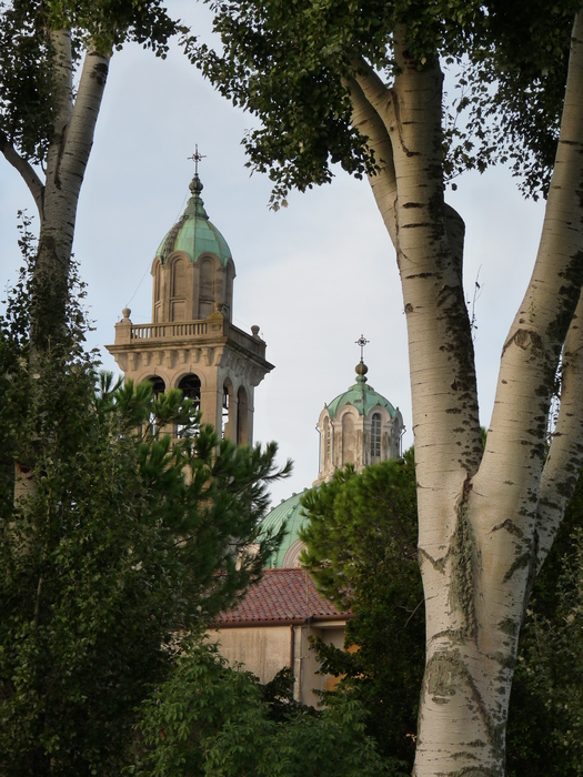 p1390504