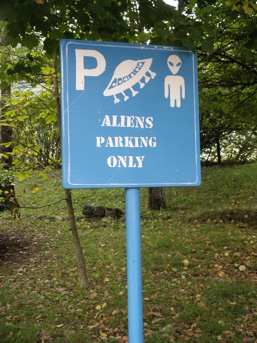 imgp0997