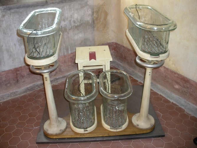 IMGP1193