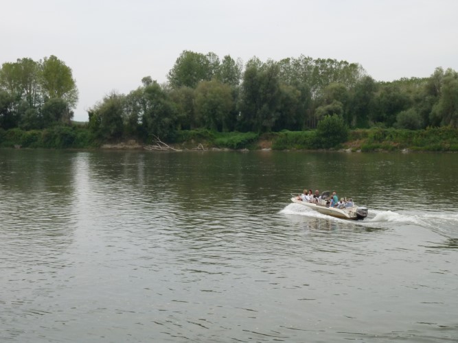 P1560809